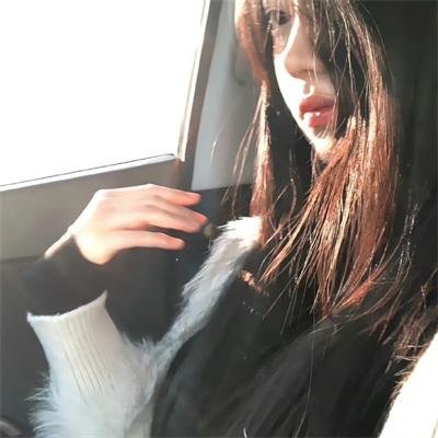 海豚的故事2