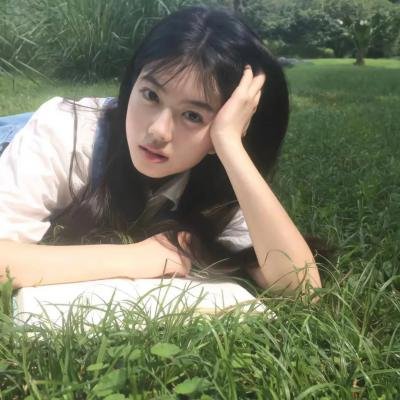 战地黄花分外香